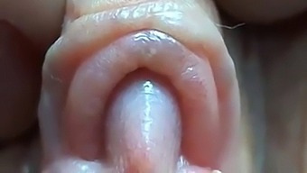 Intense Focus On The Clitoris