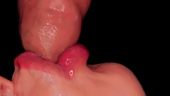 Intimate Recording Of A Skilled Blowjob With Sensory Stimulation And Ejaculation